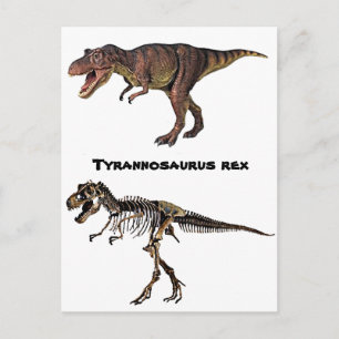 T-rex Fleisch-n-Knochen, Postkarte