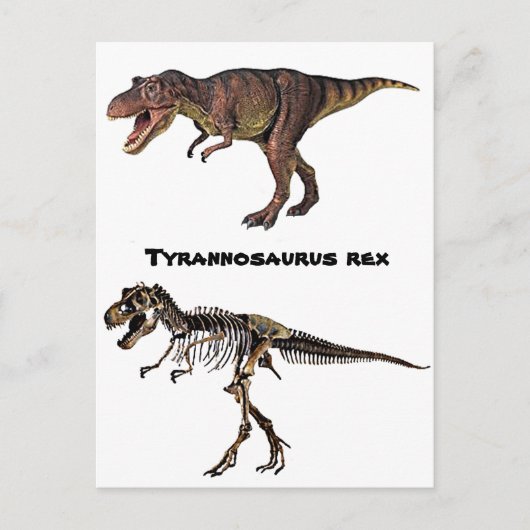 T-rex Fleisch-n-Knochen, Postkarte (Vorderseite)