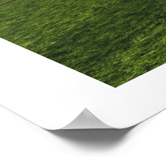 T-REX-KAMPF POSTER (Ecke)