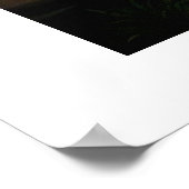 T. Rex-Modell Poster (Ecke)