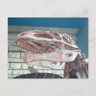 T-Rex Postkarte