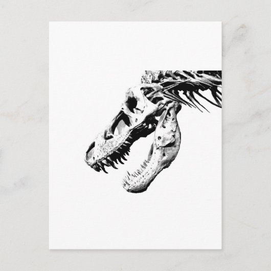 t-rex postkarte (Vorderseite)