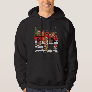 T-rex Riding Red Truck Weihnachtsbaum glauben Sant Hoodie