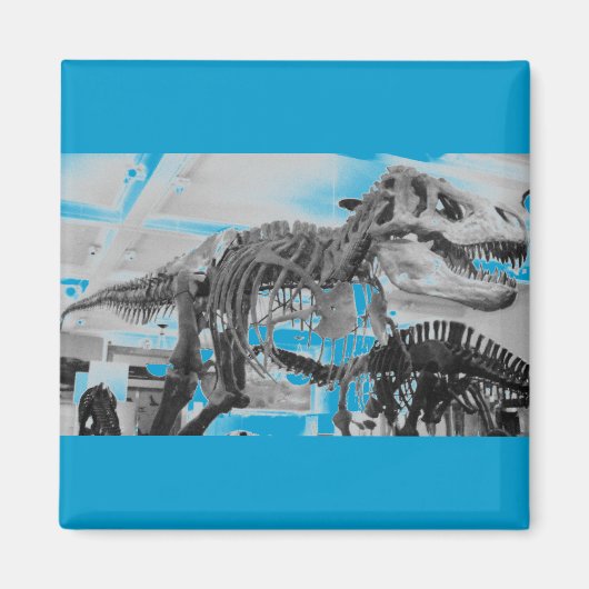 T-Rex Skelettstift Magnet (Vorne)