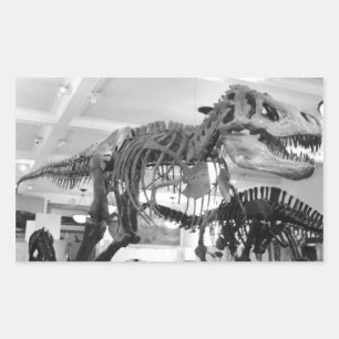 T-Rex Skelettstift Rechteckiger Aufkleber