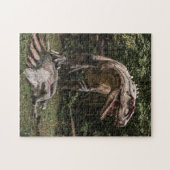 T-Rex und Stegosaurus Puzzle (Horizontal)