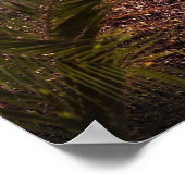 T-Rex und Triceratops Poster (Ecke)