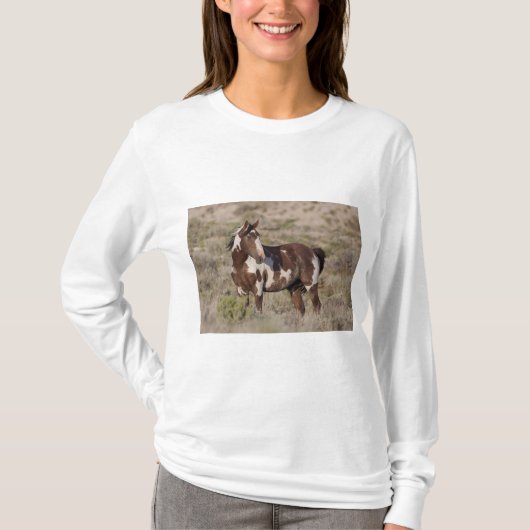 T-Shirt (Vorderseite)
