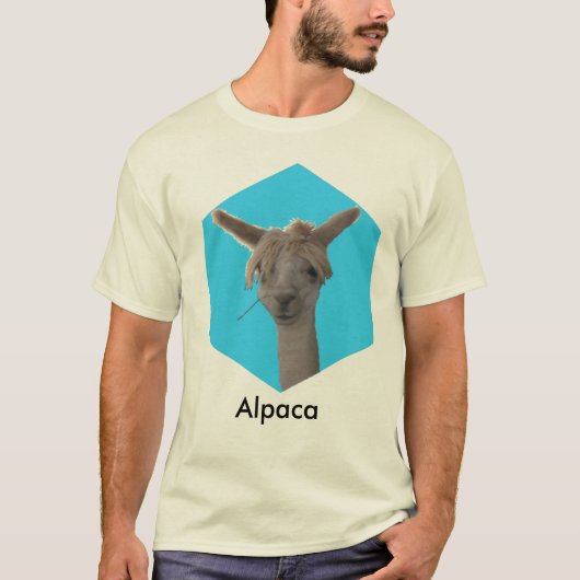 T - Shirt - Alpaca (Vorderseite)