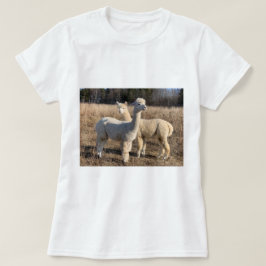 T - Shirt - Alpacas Abby & Bailey