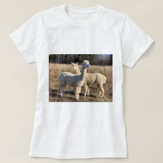 T - Shirt - Alpacas Abby & Bailey (Design vorne)