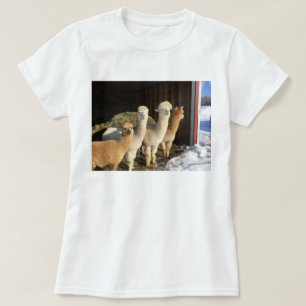 T - Shirt - Alpacas im Winter
