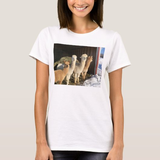 T - Shirt - Alpacas im Winter (Vorderseite)