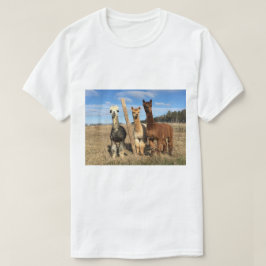 T - Shirt - Alpacas Phaethon, Barley & Marvin