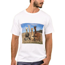 T - Shirt - Alpacas Phaethon, Barley & Marvin