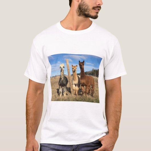 T - Shirt - Alpacas Phaethon, Barley & Marvin (Vorderseite)
