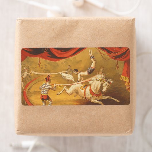 T-SHIRT Circus Act (Insitu)