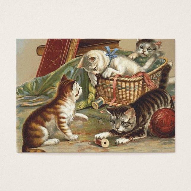 T-SHIRT Curious Cat (Vorderseite)