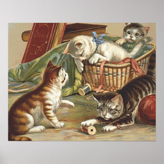 T-SHIRT Curious Cat Poster (Vorne)