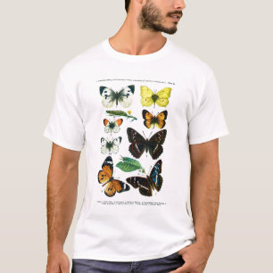 T - Shirt der Europäischen Schmetterlinge Plate II
