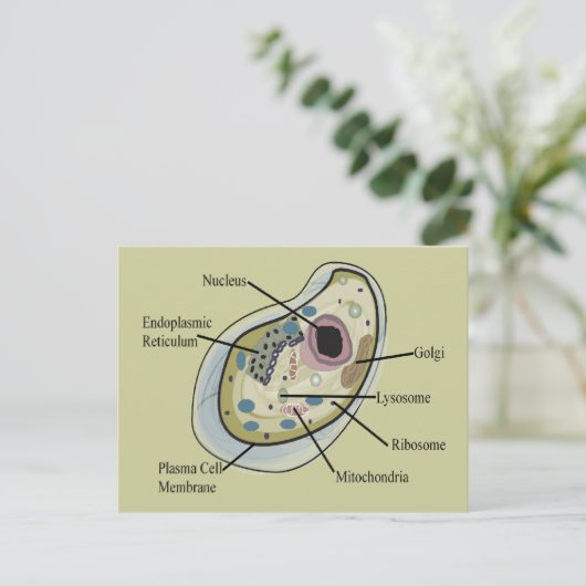 T - Shirt der Zellbiologie Postkarte (Stehend Vorderseite)