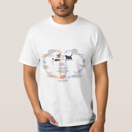 T - Shirt-DiagrammLebenszyklus von Toxoplasma T-Shirt (Vorderseite)