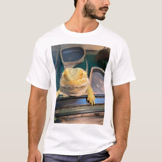 T - Shirt für Drachen (Vorderseite)