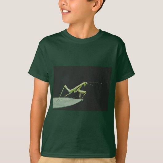 T-Shirt - Gottesanbeterin Schwarzer Abgrund (Vorderseite)