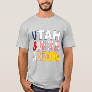T - Shirt gris pour home DESIGN USA