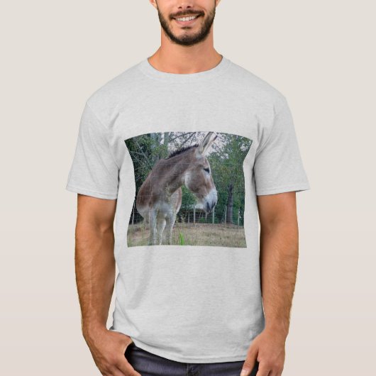 T - Shirt "Herren Donkey" (Vorderseite)