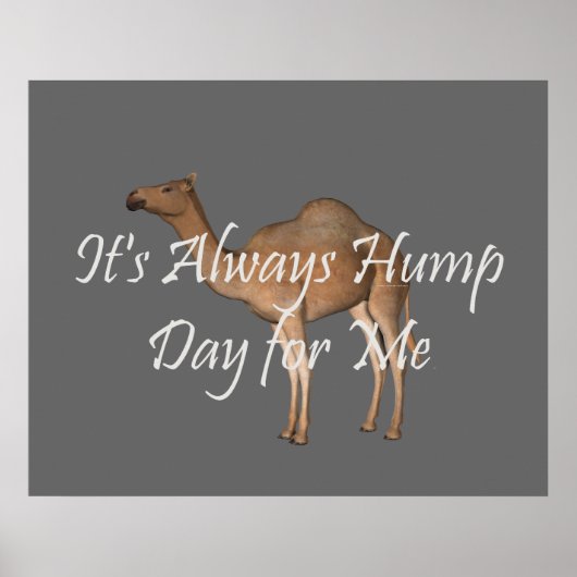 T-SHIRT Hump Day Poster (Vorne)
