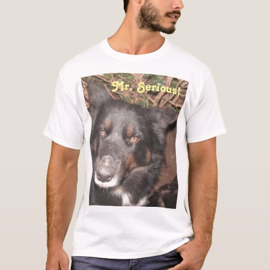 T - Shirt Husky Collie Cross (Vorderseite)