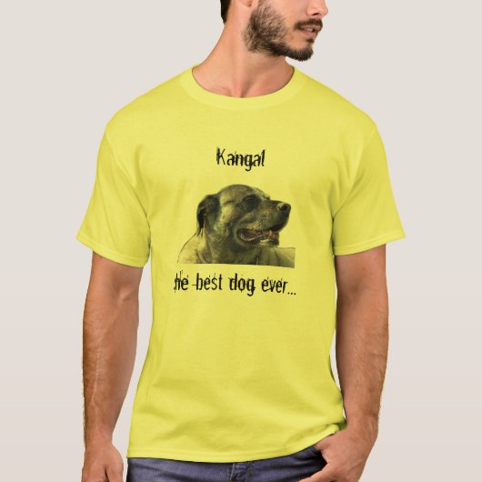 t-shirt mit kangal (Vorderseite)