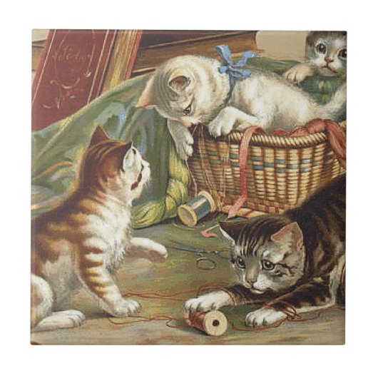 T-SHIRT neugierige Katze Fliese (Vorderseite)