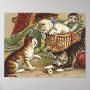 T-SHIRT neugierige Katze Poster