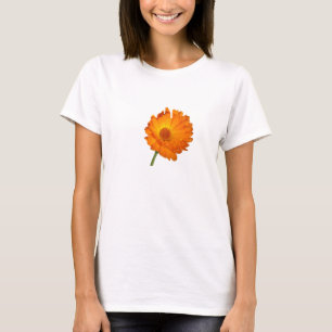 T-Shirt - Ringelblume auf kurzem Stiel