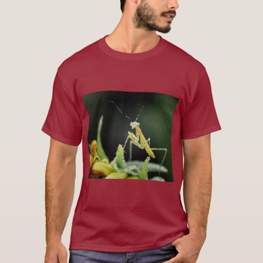 T-Shirt - Stained Glass Mantis (Vorderseite)
