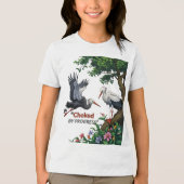 T-Shirt Tri-Blend Shirt (Vorderseite)