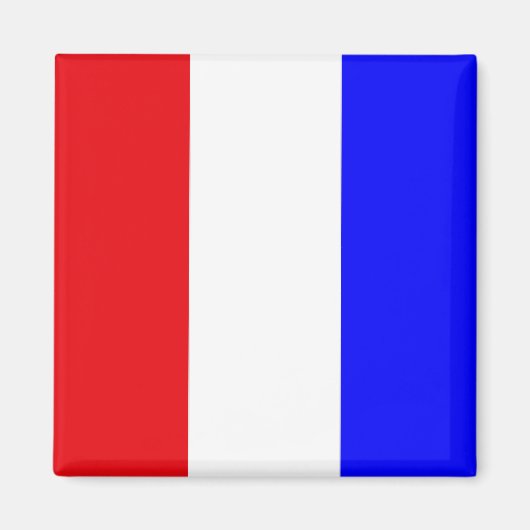 "T" (Tango) Signalflagge Magnet (Vorne)