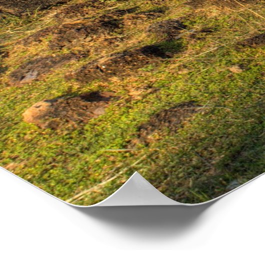 Ta Keo Temple Poster (Ecke)