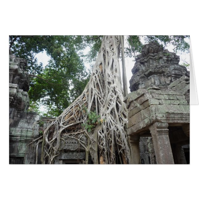 ta prohm (Vorderseite (Horizontal))