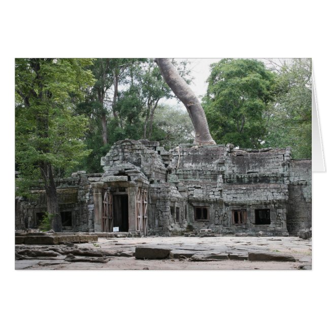 ta prohm front (Vorderseite (Horizontal))