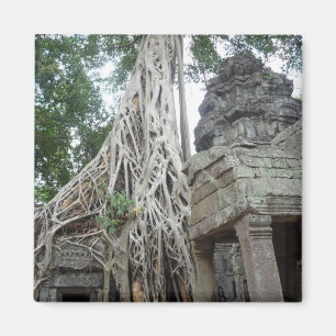 ta prohm magnet