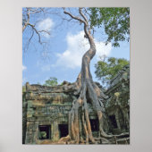 Ta Prohm Poster (Vorne)
