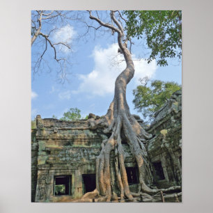 Ta Prohm Poster