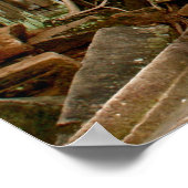 Ta Prohm Poster (Ecke)