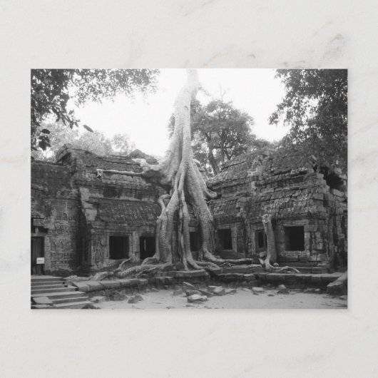 Ta Prohm Postkarte (Vorderseite)