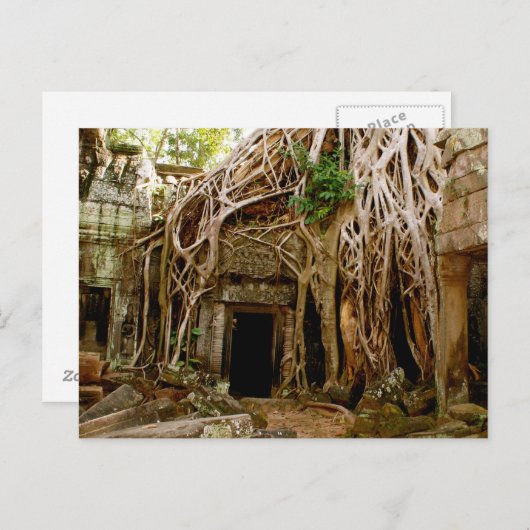 Ta Prohm Postkarte (Vorne/Hinten)