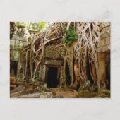Ta Prohm Postkarte (Vorderseite)