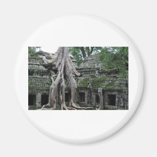 ta prohm Tempel in Kambodscha Magnet